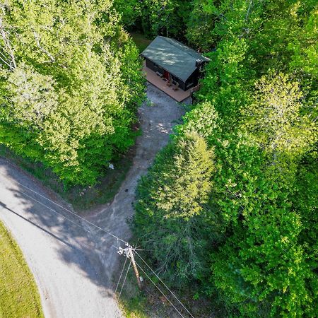 The Big Little Cabin - Hot Tub & Playground Dahlonega Exteriör bild