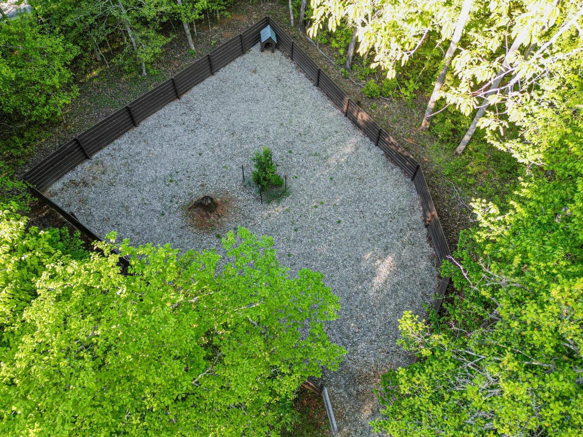 The Big Little Cabin - Hot Tub & Playground Dahlonega Exteriör bild