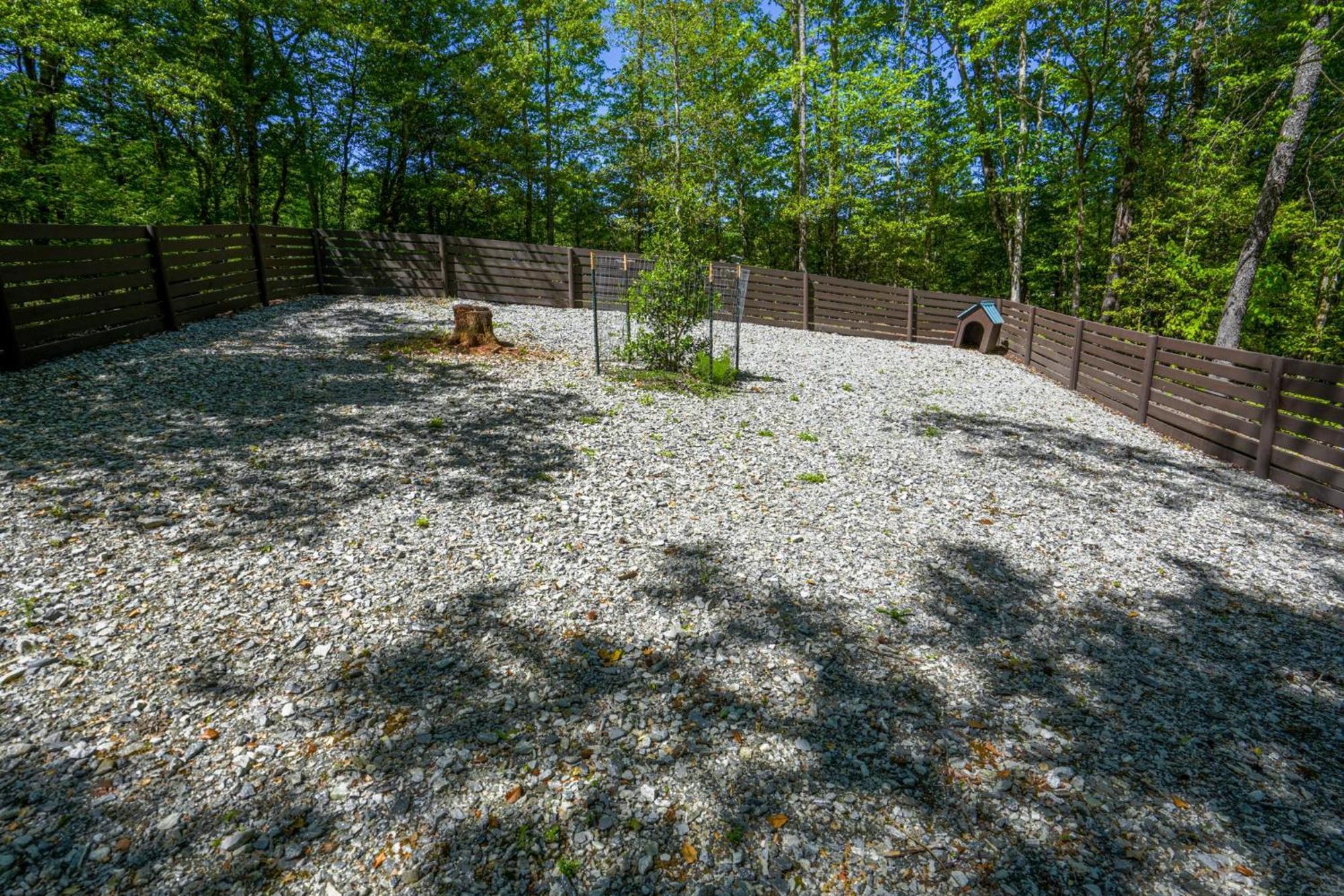 The Big Little Cabin - Hot Tub & Playground Dahlonega Exteriör bild